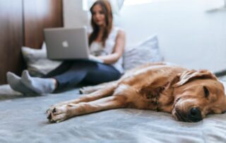 Playboy. Mädchen mit Hund und Laptop